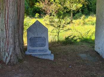 Trail Walking Herbeumont - La Châtelaine Herbeumont  - Photo
