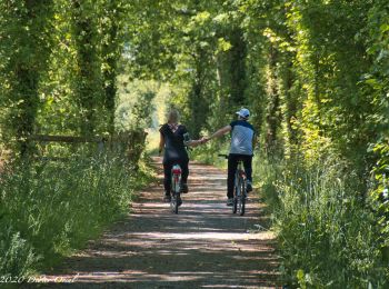 Randonnée Marche Mauves-sur-Huisne - Mauves-sur-Huisne - Mortagne-au-Perche 11 km - Photo