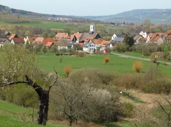 Tocht Te voet Pretzfeld - Rundweg Wannbach - Wolkenstein - Photo