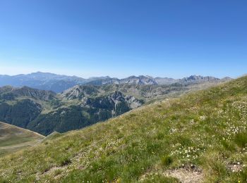 Randonnée Marche Saint-Dalmas-le-Selvage - Le Castel de la Tour - Photo