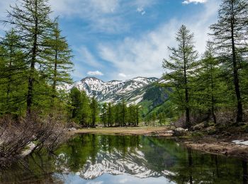 Tour Zu Fuß Courmayeur - Itinerario 23 Rifugio Dalmazzi - Photo