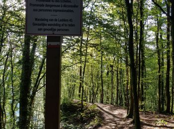 Trail Mountain bike Bouillon - 8 km VTT d'exploration départ de Rochehaut - Photo