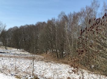 Percorso A piedi Theuma - DE-Wanderweg Roter Balken Großraum Lengenfeld - Photo