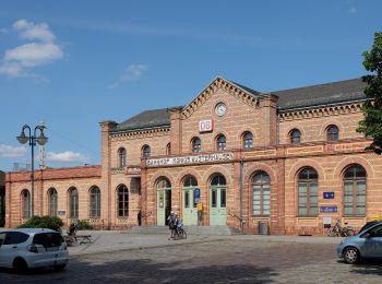 Percorso A piedi Königs Wusterhausen - Rundweg Niederlehmer Luch - Photo