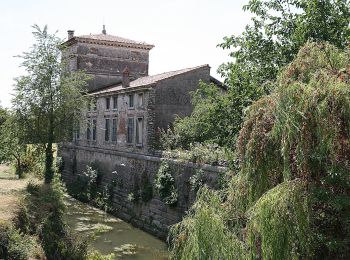 Randonnée A pied Sarego - Sentiero dei Monti di Meledo - Photo