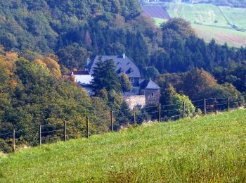 Trail On foot Allenfeld - Vitaltour Schlossweg - Photo