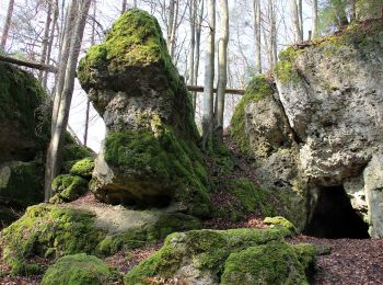 Tour Zu Fuß Neuhaus a.d.Pegnitz - Pendolino-Wanderung - Photo