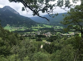 Tour Wandern Le Châtelard - Le Châtelard - boucle des Granges sentier des Maîtres des monts dessertes - Photo