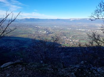 Tocht Stappen Collonges-sous-Salève - GRAND SALEVE: GROTTES ET SENTIER-BALCON - Photo