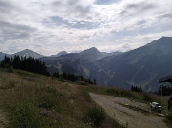 Tour Wandern Morzine - 74-Avoriaz-cretes-belvedere-10km-360 - Photo