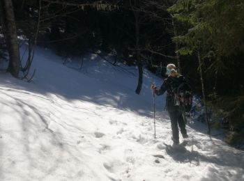 Tour Schneeschuhwandern Le Haut-Bréda - lac blanc de la grande valloire  - Photo