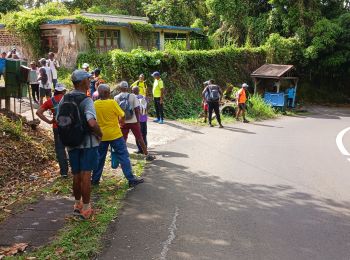 Trail Walking Gros-Morne - 31eme Marche Royal  Gros-Morne  - Photo