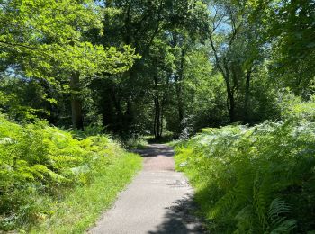 Tocht Stappen Vieux-Moulin - en foret de Compiègne_38_07_2021_sur la Route Eugénie - Photo