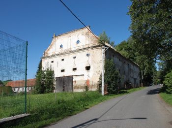 Excursión A pie Kašperské Hory - Kolem Pranýře za výhledy - Photo