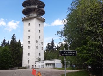 Tocht Stappen Wangenbourg-Engenthal - Col de Valsberg - Photo