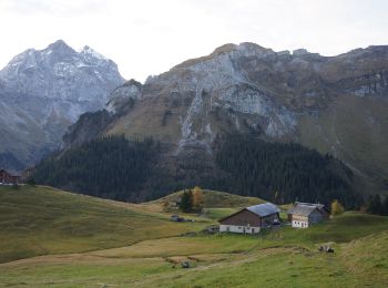 Tocht Te voet Isenthal - Rundweg Gitschenen - Photo