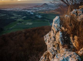 Tocht Te voet Eningen unter Achalm - Äußerer Zugangsweg Eningen - Übersberg - Photo