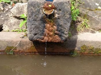 Randonnée Marche Bergheim - thannenkirch - Photo