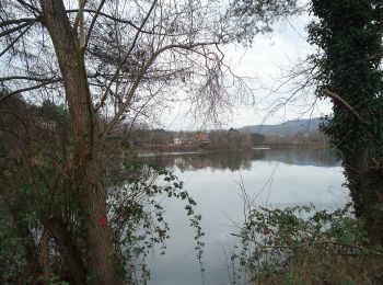 Tour Zu Fuß Alzenau - Ortswanderweg Alzenau 5 - Photo