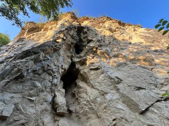 Excursión A pie Koněprusy - naučná stezka Zlatý kůň - Photo