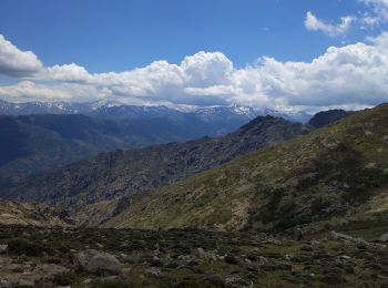 Randonnée Marche Corscia - Corsica - Bocca di Serra Piana - Photo