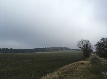 Randonnée A pied Zossen - Weinberg Rundweg - Photo