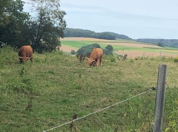 Tocht Stappen Attert - Nothomb (PVDB) - Photo