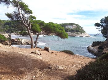 Tour Wandern Ferreries - 20231026minorque - Photo