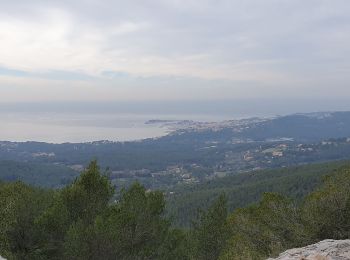 Excursión Senderismo Sanary-sur-Mer - sanary - Photo