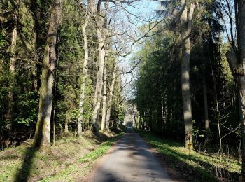 Percorso A piedi Mariánské Lázně - NS Okolím Valů - Photo