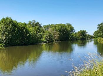 Trail Walking Merbes-le-Château - De Merbes-le-Château à Labuissière - Photo