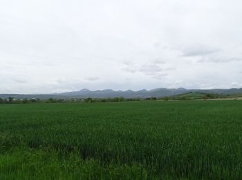 Randonnée Marche Riom - RIOM (Saint Bonnet-près-Riom) - Photo