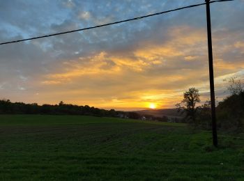 Tour Wandern Aubrives - De Aubrives à Aubrives par les bois et l'ancienne carrière  - Photo