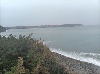 Excursión Marcha nórdica Camaret-sur-Mer - camaret - Photo