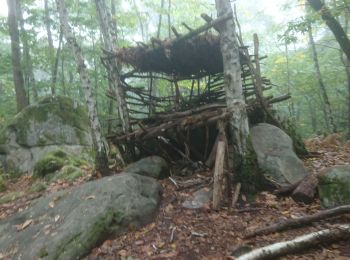 Excursión Senderismo Champcueil - forêt d'Avaux 4 octobre 2024 - Photo