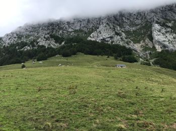 Excursión Senderismo Bellecombe-en-Bauges - Le Mont Crêt du Char Col de Frasse - Photo