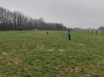 Tour Wandern Halle - Kris, Sofie en Merel  - Photo