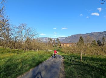 Trail Mountain bike Beaulieu - Fond de Beaulieu- Treillins -  Cognin , balade en vélo  - Photo