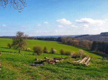 Tocht Stappen Gedinne - Balade de Bourseigne-Vieille à Vencimont - Photo