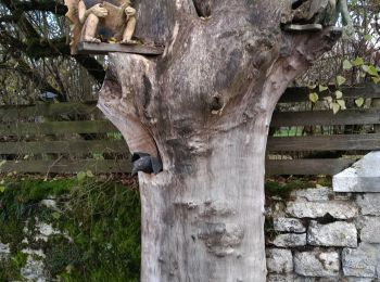 Tour Wandern Besain - Besain 26 nov 2019 CAF - Photo