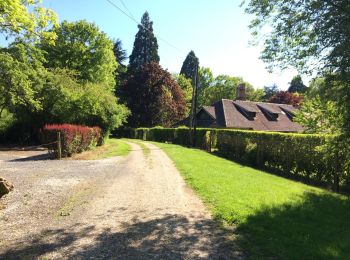 Randonnée Marche Fontenailles - Les vallons de Fontenailles - Photo