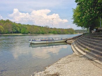 Excursión A pie Rüdlingen - Rüdlingen - Ellikon am Rhein - Photo