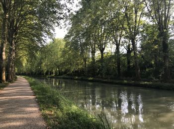 Tour Hybrid-Bike Damazan - Canal de la Garonne  - Photo