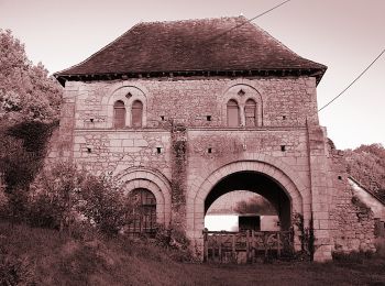 Percorso A piedi Villiers-sur-Loir - Circuit des Côteaux - Photo