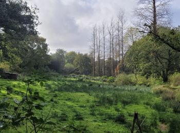 Tocht Stappen Loc-Eguiner - loc-eguiner - Photo