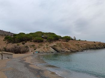 Tocht Stappen Port-Vendres - anse des paulilles - cap bear / retour par les vignes - Photo