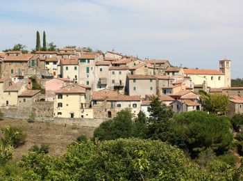 Trail On foot Scansano - Trekking della Villa Romana - Photo