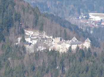 Excursión A pie Rottach-Egern - Wanderweg 618 - Wallberg - Photo