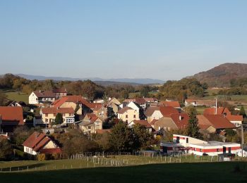 Percorso Mountainbike Semondans - mont vaudois  - Photo