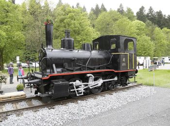 Tocht Te voet Horgen - Schlegeltobel - Sihlbrugg Station - Photo